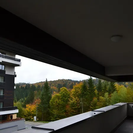 Mountain Nest In Silver Mountain Poiana Brasov