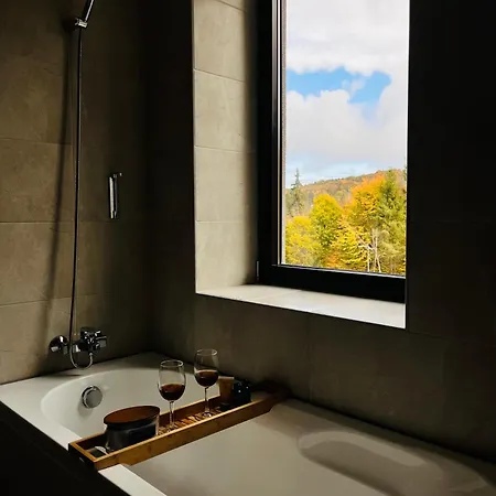 Aparthotel Mountain Nest In Silver Mountain *